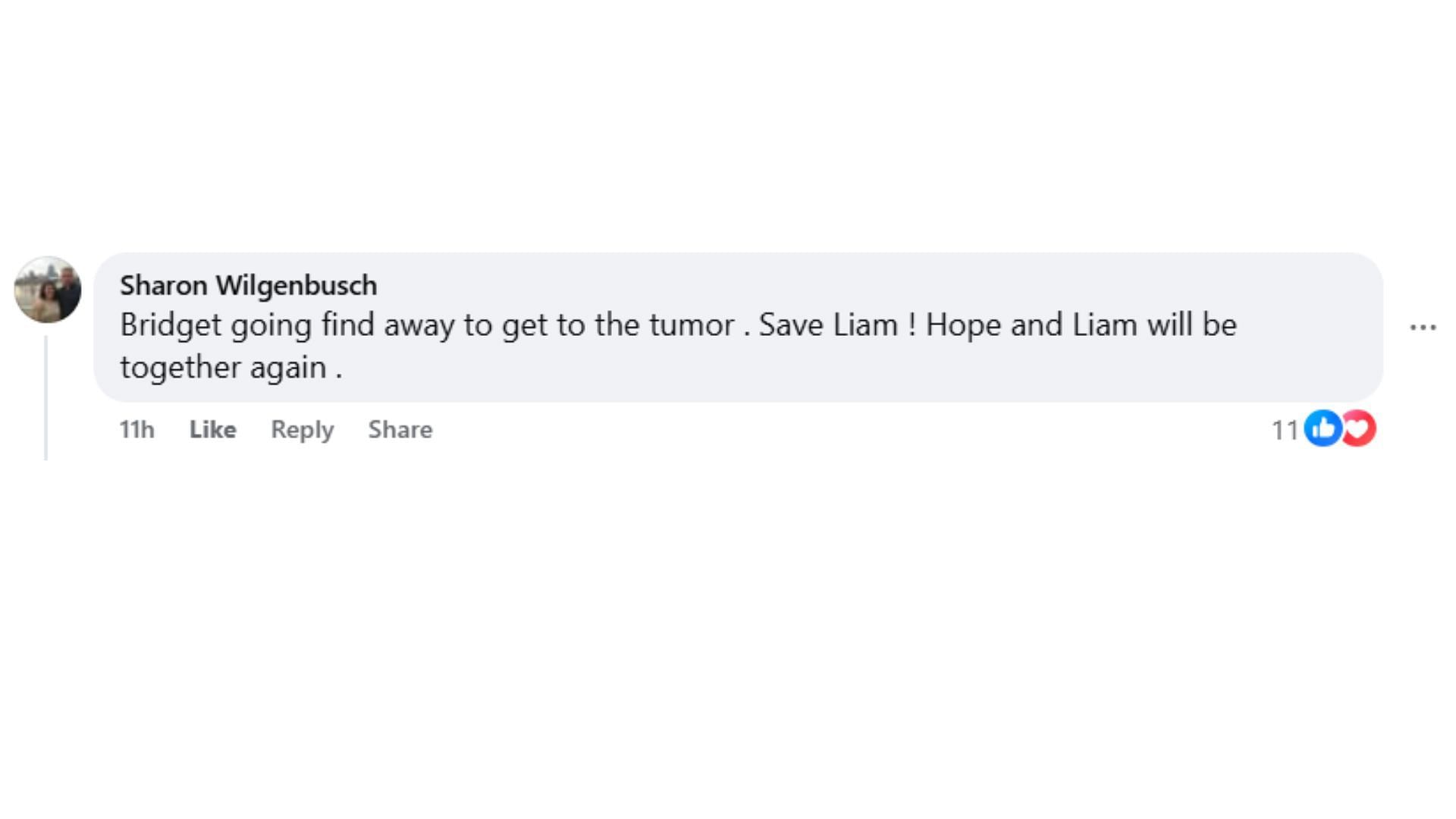 Comment by the fan on the post (Image via Facebook/@Laura Barre)